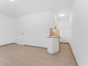 Pronájem bytu 1+kk, Brno - Černovice, Faměrovo náměstí, 29 m2
