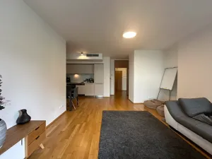 Pronájem bytu 2+kk, Praha - Žižkov, Pitterova, 85 m2