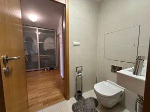 Pronájem bytu 2+kk, Praha - Žižkov, Pitterova, 85 m2