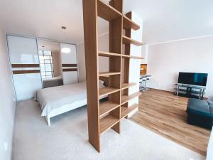 Pronájem bytu 2+kk, Praha - Žižkov, Olgy Havlové, 55 m2