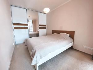 Pronájem bytu 2+kk, Praha - Žižkov, Olgy Havlové, 55 m2