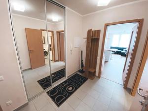 Pronájem bytu 2+kk, Praha - Žižkov, Olgy Havlové, 55 m2