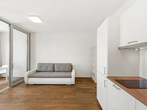 Pronájem bytu 1+kk, Praha - Žižkov, Olšanská, 34 m2