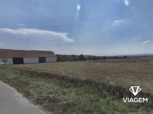 Prodej zahrady, Slabčice, 6749 m2