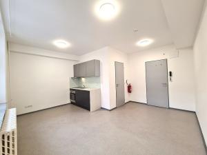 Pronájem bytu 1+kk, Brno, Dominikánské náměstí, 23 m2