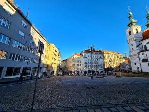 Pronájem bytu 1+kk, Brno, Dominikánské náměstí, 23 m2