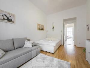 Pronájem bytu 2+1, Praha - Vinohrady, Vinohradská, 46 m2