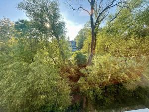 Pronájem bytu 1+kk, Tuchoměřice, V Kněžívce, 22 m2