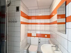 Pronájem bytu 1+1, Chomutov, Písečná, 38 m2