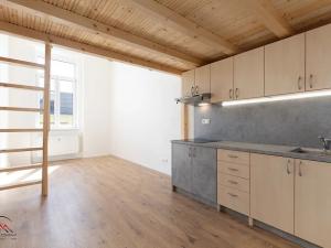 Pronájem bytu 1+kk, Ostrava, Palackého, 26 m2