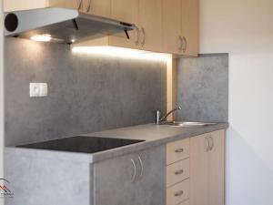Pronájem bytu 1+kk, Ostrava, Palackého, 26 m2