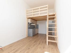 Pronájem bytu 1+kk, Ostrava, Palackého, 26 m2