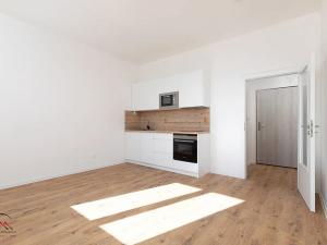 Pronájem bytu 1+kk, Ostrava, Palackého, 23 m2