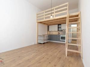 Pronájem bytu 1+kk, Ostrava, Palackého, 29 m2