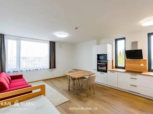 Pronájem bytu 1+kk, Veselí nad Lužnicí, Budějovická, 40 m2