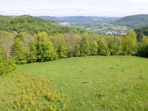 Prodej louky, Děčín, 27274 m2