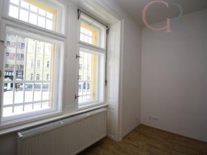 Pronájem bytu 2+kk, Plzeň - Jižní Předměstí, Americká, 63 m2