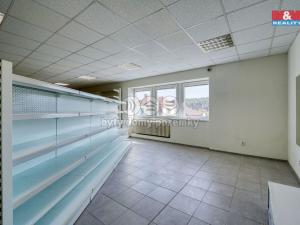 Pronájem obchodního prostoru, Třemošná, Plzeňská, 187 m2