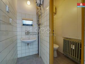 Pronájem obchodního prostoru, Třemošná, Plzeňská, 187 m2