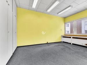 Pronájem kanceláře, Praha - Záběhlice, Žirovnická, 319 m2