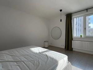 Prodej bytu 1+kk, Brno, Reissigova, 42 m2