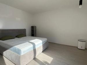 Prodej bytu 1+kk, Brno, Reissigova, 42 m2