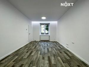 Pronájem bytu 1+1, Plzeň, Čechova, 45 m2