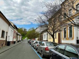 Pronájem bytu 1+kk, Brno - Husovice, Hálkova, 32 m2
