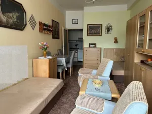 Prodej bytu 1+kk, Brno, Cihlářská, 30 m2