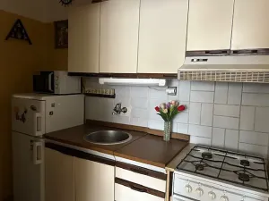 Prodej bytu 1+kk, Brno, Cihlářská, 30 m2
