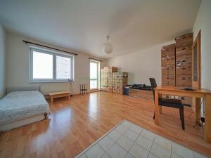 Pronájem bytu 1+kk, Praha - Horní Měcholupy, Padovská, 41 m2