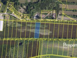Prodej pole, Morkůvky, 2110 m2