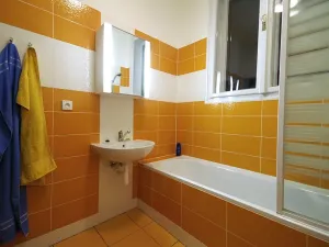 Pronájem bytu 1+1, Zlín, Sokolská, 46 m2