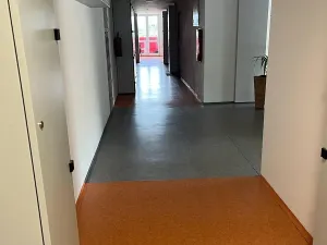 Pronájem bytu 1+kk, Planá nad Lužnicí, Průmyslová, 19 m2