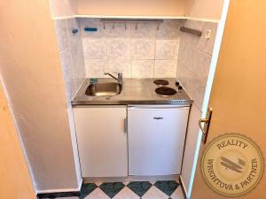 Pronájem bytu 1+kk, Praha - Břevnov, Nad Závěrkou, 14 m2