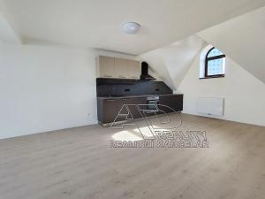 Pronájem bytu 2+kk, České Budějovice, Fráni Šrámka, 65 m2
