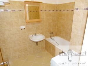 Pronájem bytu 2+kk, Brno, Cejl, 50 m2
