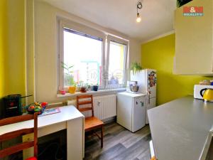Pronájem bytu 3+1, Bruntál, Dolní, 68 m2
