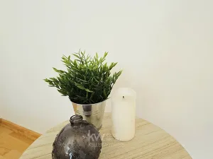 Pronájem bytu 2+1, Příbram, Pod Haldou, 50 m2