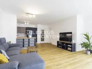 Pronájem bytu 2+kk, Praha - Smíchov, Holečkova, 80 m2
