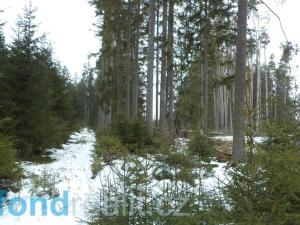 Prodej pozemku, Nová Bystřice - Blato, 19660 m2