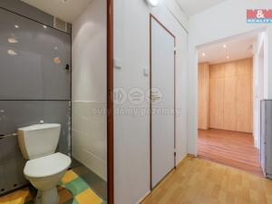 Pronájem bytu 2+1, Loket, Sportovní, 60 m2