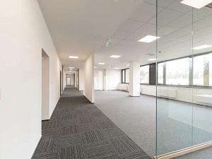 Pronájem kanceláře, Ostrava, Slavíkova, 300 m2