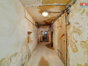 Prodej činžovního domu, Aš, Nádražní, 350 m2