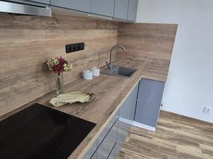 Pronájem bytu 3+kk, Česká Lípa, Erbenova, 70 m2