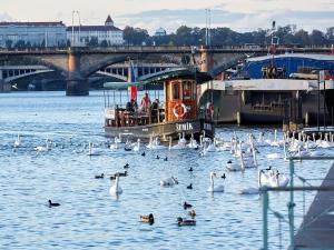 Prodej bytu 1+kk, Praha - Nusle, Bělehradská, 49 m2