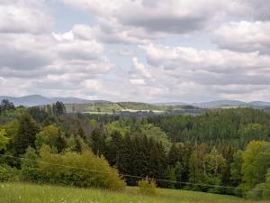Prodej rodinného domu, Železný Brod, 83 m2