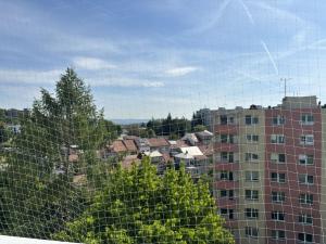 Prodej bytu 2+1, Brno, Ulička, 57 m2