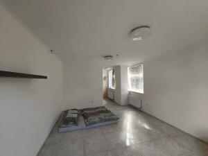Pronájem bytu 1+kk, Brno, Havlíčkova, 38 m2