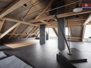 Prodej rodinného domu, Ostrava - Plesná, 26. dubna, 276 m2